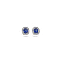 Diamond Earring in 18k White Gold