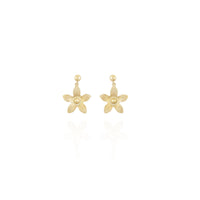 Star Drop Eaarings in 18k Yellow gold