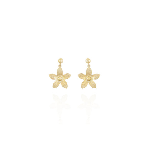 Star Drop Eaarings in 18k Yellow gold