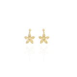 Star Drop Eaarings in 18k Yellow gold
